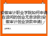 安徽审计职业学院如何申请在读间的创业无息贷款(安徽审计创业贷款申请)