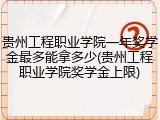 贵州工程职业学院一年奖学金最多能拿多少(贵州工程职业学院奖学金上限)