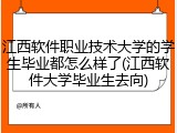 江西软件职业技术大学的学生毕业都怎么样了(江西软件大学毕业生去向)