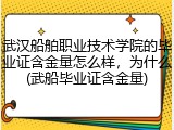 武汉船舶职业技术学院的毕业证含金量怎么样，为什么(武船毕业证含金量)