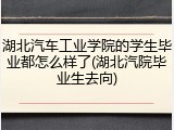 湖北汽车工业学院的学生毕业都怎么样了(湖北汽院毕业生去向)