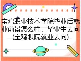 宝鸡职业技术学院毕业后就业前景怎么样，毕业生去向(宝鸡职院就业去向)