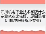 四川机电职业技术学院什么专业就业比较好，原因是啥(川机电院好就业专业)