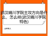 武汉晴川学院主攻方向是什么，怎么样(武汉晴川学院特色)