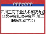 四川工商职业技术学院有哪些奖学金和助学金呢(川工职院奖助学金)