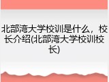 北部湾大学校训是什么，校长介绍(北部湾大学校训校长)