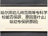 哈尔滨幼儿师范高等专科学校能否保研，原因是什么(哈幼专保研原因)