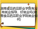 湖南食品药品职业学院有没有就业指导，好就业吗(湖南食品药品职业学院就业如何)