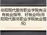 岳阳现代服务职业学院有没有就业指导，好就业吗(岳阳现代服务职业学院就业情况)