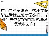 广西自然资源职业技术学院毕业后就业前景怎么样，毕业生去向(广西自然资源职院就业去向)