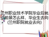 兰州职业技术学院毕业后就业前景怎么样，毕业生去向(兰州职院就业去向)
