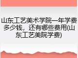 山东工艺美术学院一年学费多少钱，还有哪些费用(山东工艺美院学费)
