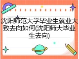 沈阳师范大学毕业生就业大致去向如何(沈阳师大毕业生去向)