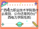 广西电力职业技术学院是什么级别，公办还是民办(广西电力学院性质)