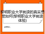 黎明职业大学就读的真实感觉如何(黎明职业大学就读体验)