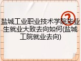 盐城工业职业技术学院毕业生就业大致去向如何(盐城工院就业去向)