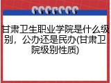 甘肃卫生职业学院是什么级别，公办还是民办(甘肃卫院级别性质)