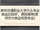 贵州交通职业大学什么专业就业比较好，原因是啥(贵州交大就业优势专业)