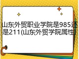 山东外贸职业学院是985还是211(山东外贸学院属性)