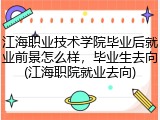 江海职业技术学院毕业后就业前景怎么样，毕业生去向(江海职院就业去向)