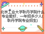北京工业大学耿丹学院什么专业最好，一年招多少人(耿丹学院专业招生)