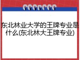 东北林业大学的王牌专业是什么(东北林大王牌专业)