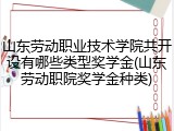 山东劳动职业技术学院共开设有哪些类型奖学金(山东劳动职院奖学金种类)