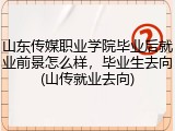 山东传媒职业学院毕业后就业前景怎么样，毕业生去向(山传就业去向)