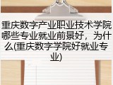 重庆数字产业职业技术学院哪些专业就业前景好，为什么(重庆数字学院好就业专业)