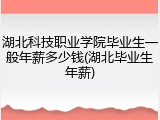 湖北科技职业学院毕业生一般年薪多少钱(湖北毕业生年薪)