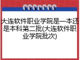 大连软件职业学院是一本还是本科第二批(大连软件职业学院批次)