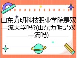 山东力明科技职业学院是双一流大学吗?(山东力明是双一流吗)