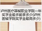 泸州医疗器械职业学院一年奖学金最多能拿多少(泸州医械学院奖学金最高多少)