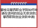 攀枝花攀西职业学院如何申请在读间的创业无息贷款(攀西职院创业贷款申请)