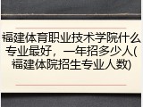 福建体育职业技术学院什么专业最好，一年招多少人(福建体院招生专业人数)