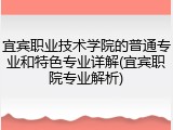 宜宾职业技术学院的普通专业和特色专业详解(宜宾职院专业解析)