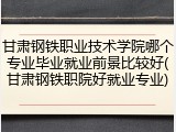 甘肃钢铁职业技术学院哪个专业毕业就业前景比较好(甘肃钢铁职院好就业专业)