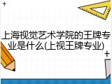 上海视觉艺术学院的王牌专业是什么(上视王牌专业)