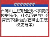 石嘴山工贸职业技术学院的校史简介，什么历史与社会背景下建校的(石嘴山工院校史背景)