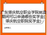 广东肇庆航空职业学院就读期间可以申请哪些奖学金(肇庆航空职院奖学金)