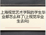 上海视觉艺术学院的学生毕业都怎么样了(上视觉毕业生去向)