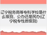 辽宁税务高等专科学校是什么级别，公办还是民办(辽宁税专性质级别)