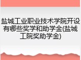 盐城工业职业技术学院开设有哪些奖学和助学金(盐城工院奖助学金)