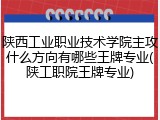 陕西工业职业技术学院主攻什么方向有哪些王牌专业(陕工职院王牌专业)