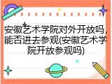 安徽艺术学院对外开放吗，能否进去参观(安徽艺术学院开放参观吗)