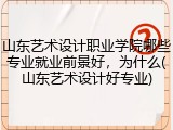 山东艺术设计职业学院哪些专业就业前景好，为什么(山东艺术设计好专业)
