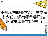贵州城市职业学院一年学费多少钱，还有哪些费用(贵州城市职业学院费用)