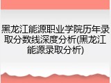 黑龙江能源职业学院历年录取分数线深度分析(黑龙江能源录取分析)
