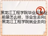 黑龙江工程学院毕业后就业前景怎么样，毕业生去向(黑龙江工程学院就业去向)
