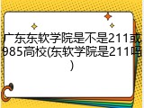 广东东软学院是不是211或985高校(东软学院是211吗)